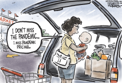 MISSING PANDEMIC PRICING  by Jeff Koterba