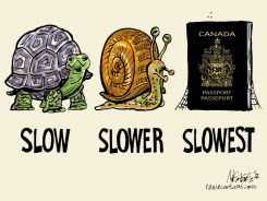 PASSPORTS by Steve Nease
