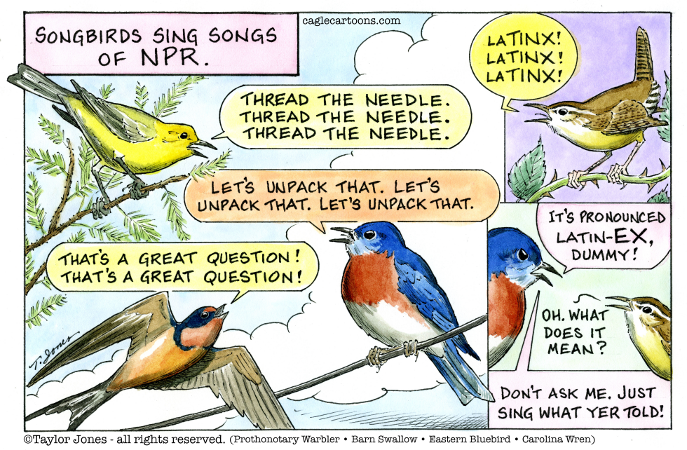 NPR songbirds