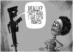 ABOUT RIGHTS by Dave Whamond