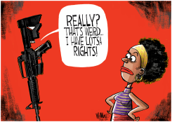 LOTSA RIGHTS by Dave Whamond