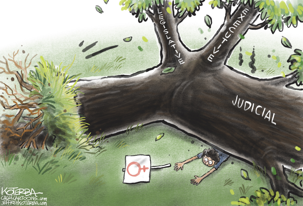 Three Branches of Government