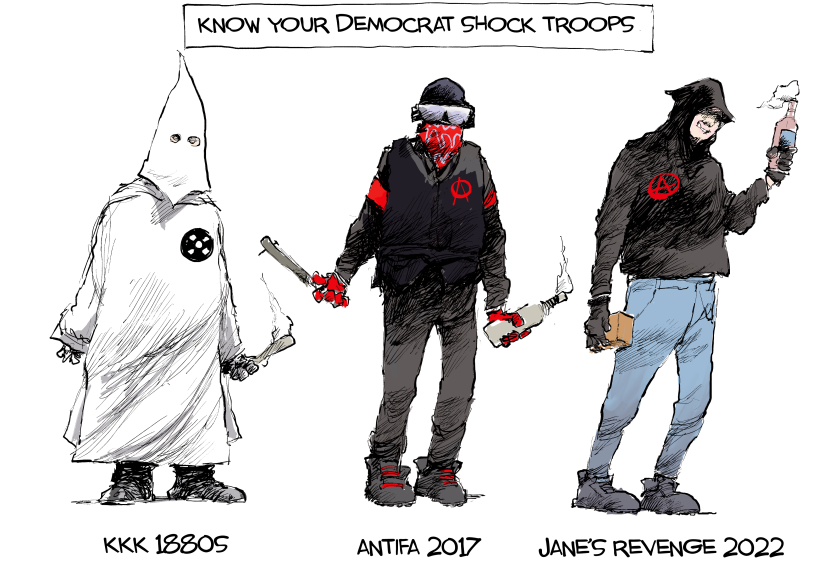 Democrat Shock Troops
