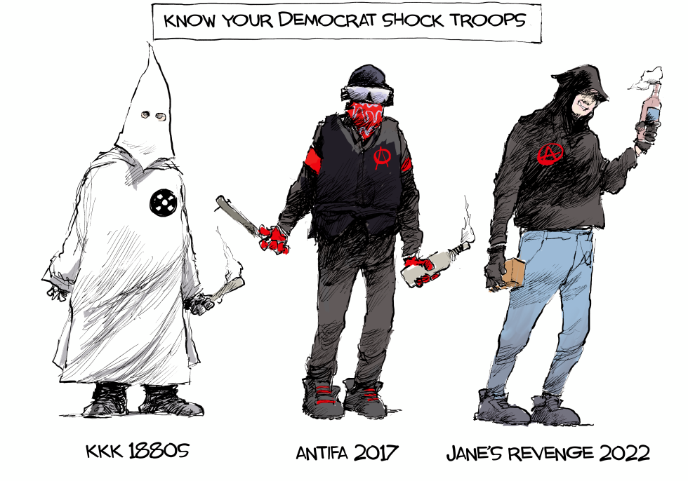 Democrat Shock Troops