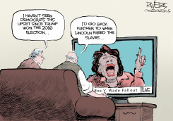 DEMOCRAT HISSY FIT by Rivers