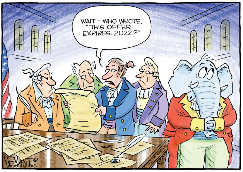 Constitutional Small Print
