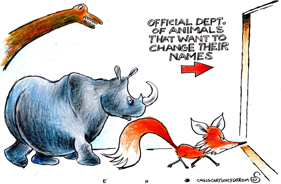 Dino Rino and Fox