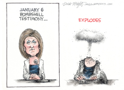 JAN 6 FALSE TESTIMONY by Dick Wright
