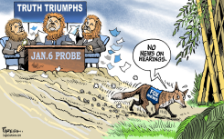 FOX NEWS STRATEGY by Paresh Nath