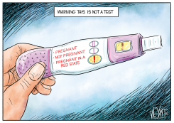 THIS IS NOT A TEST by Christopher Weyant