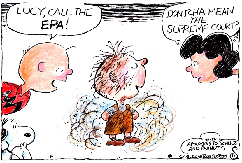 The New EPA