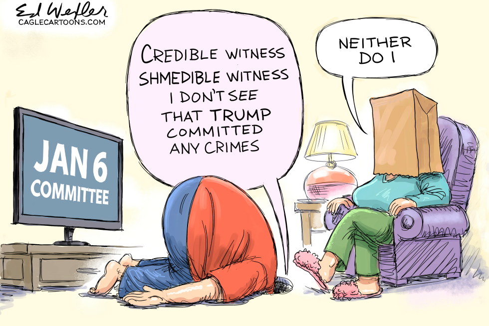 Credible Shmedible I Don’t See Any Trump Crimes