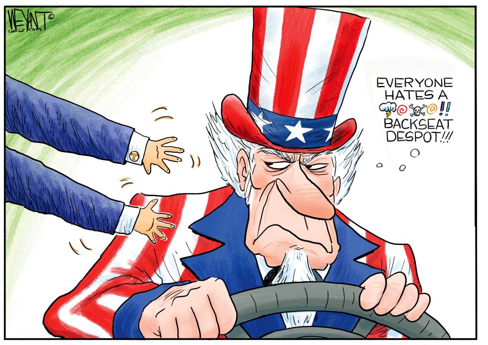 BackSeat Despot