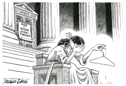 ROE VS WADE by Zapiro