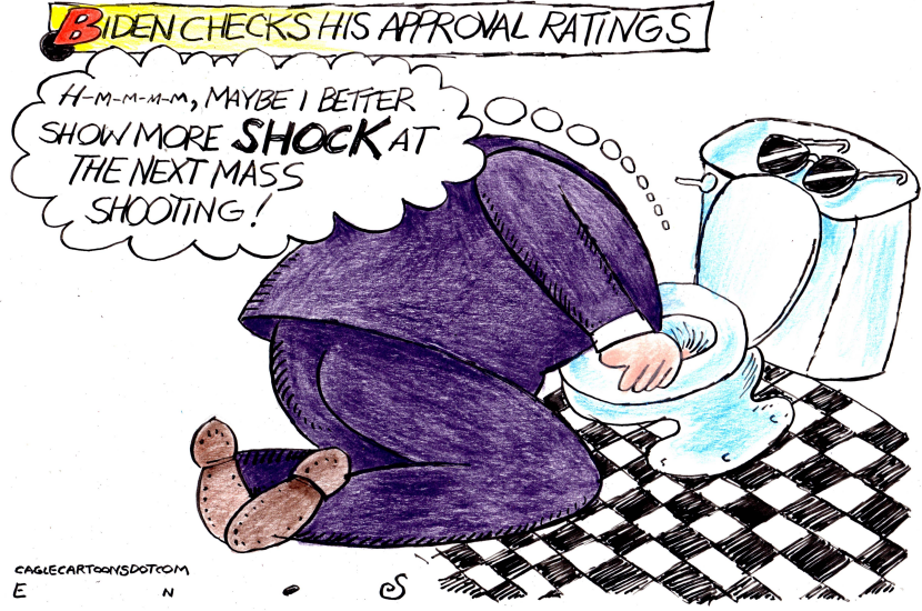Biden's Approval Ratings