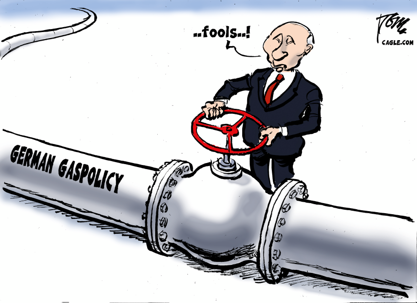 German gaspolicy
