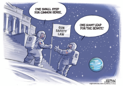 GUN SAFETY LAW SENATE MOONSHOT by R.J. Matson