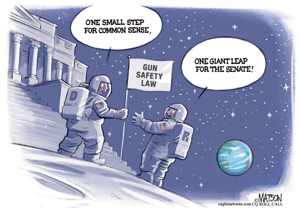 Gun Safety Law Senate Moonshot