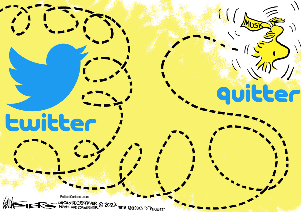 Twitter and Musk