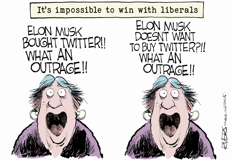 Musk and Liberals