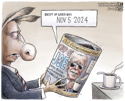 JOE BIDEN BRAND by Adam Zyglis