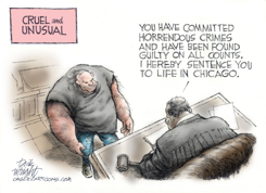 BIDEN PLAN TO REDUCE INFLATION by Dick Wright