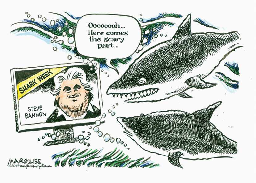 Steve Bannon