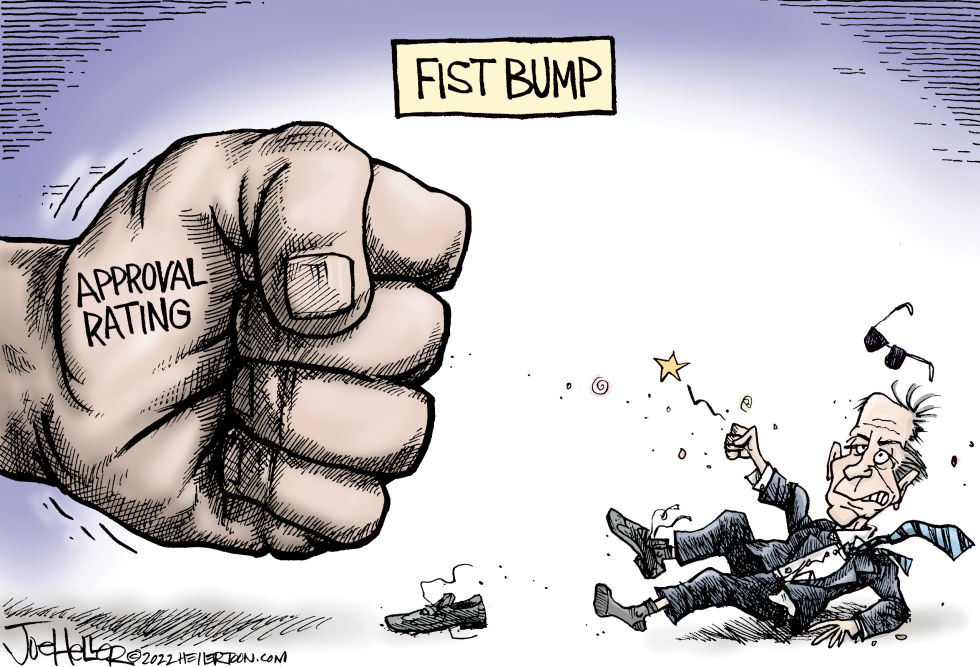 Fist Bump Poll