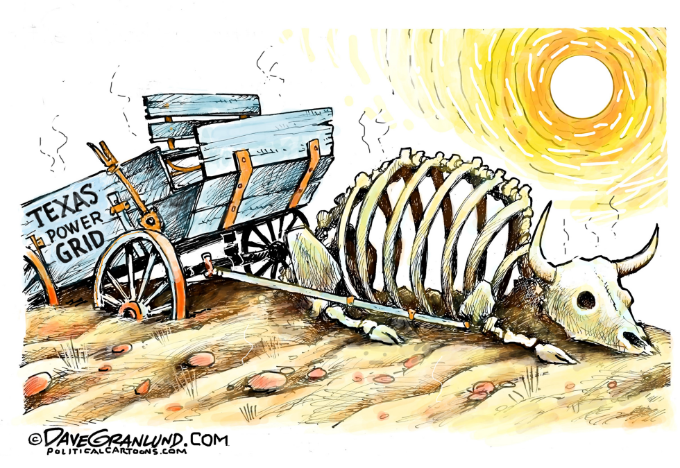Texas Power Grid
