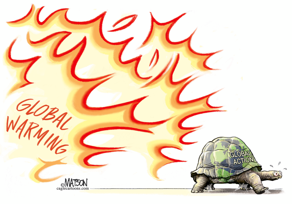 The Tortoise And The Fire