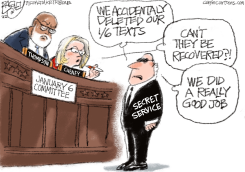 SECRET DISERVICE by Pat Bagley