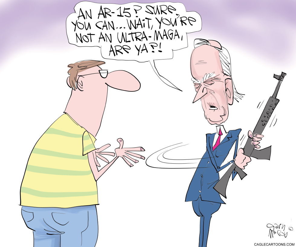 Biden Red Flag