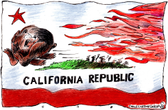 CALIFORNIA FIRES by Randall Enos
