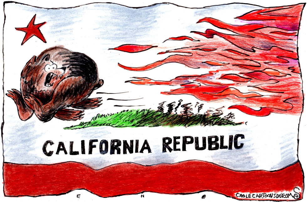 California flag shows bear amid spreading flames