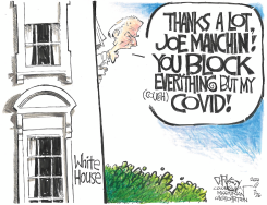 THANKS A LOT, JOE MANCHIN by John Darkow