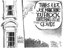 THANKS A LOT, JOE MANCHIN by John Darkow