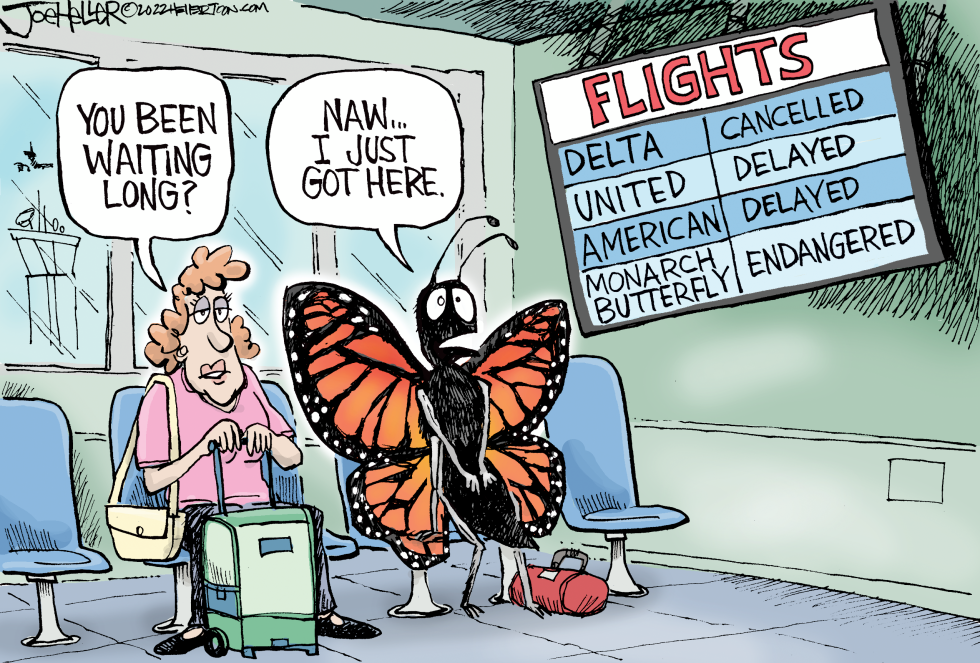 Monarchs Endangered