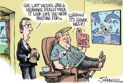 SHARK WEEK by Joe Heller