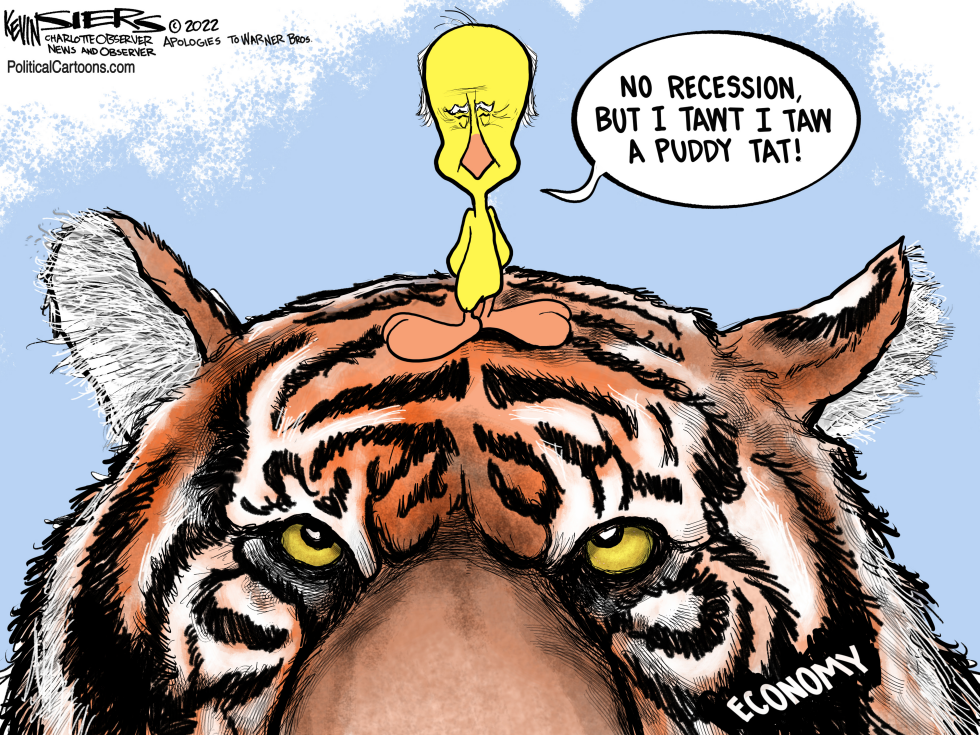 Biden Defining Recession