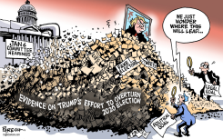 EVIDENCE ON TRUMP by Paresh Nath