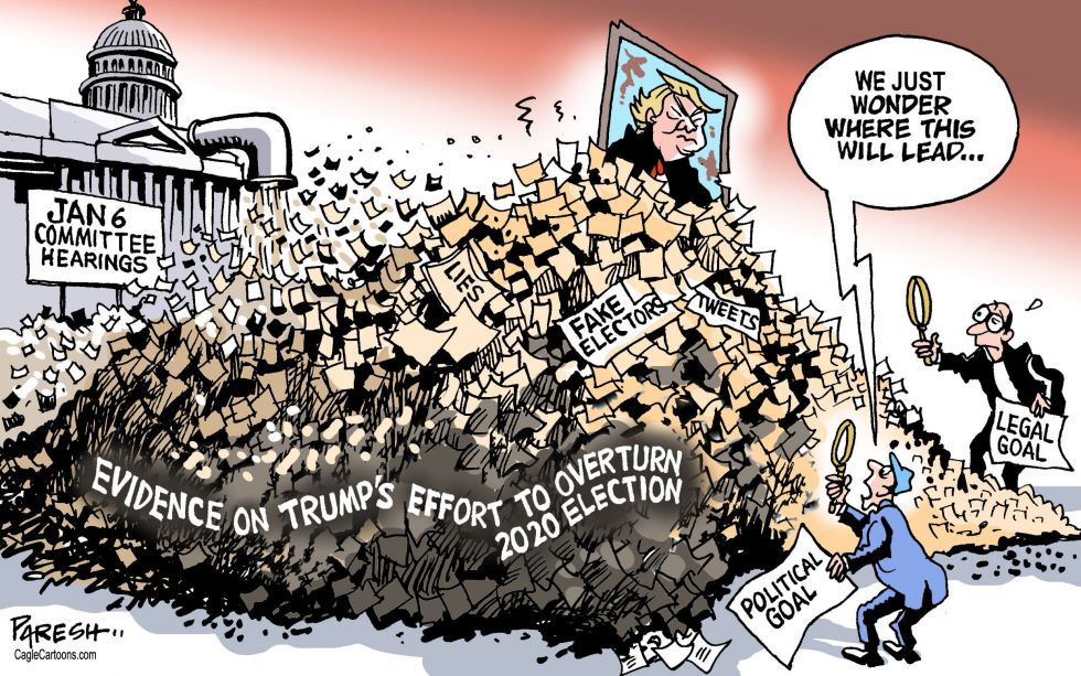 Evidence on Trump