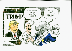 TRUMP 2024 by Jimmy Margulies