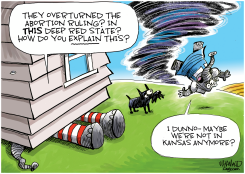 KANSAS VOTES TO KEEP THEIR RIGHTS by Dave Whamond