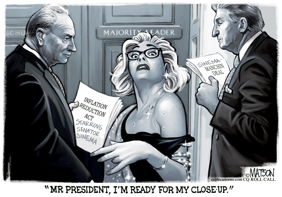 Senator Kyrsten Sinema Stars In Sunset Boulevard