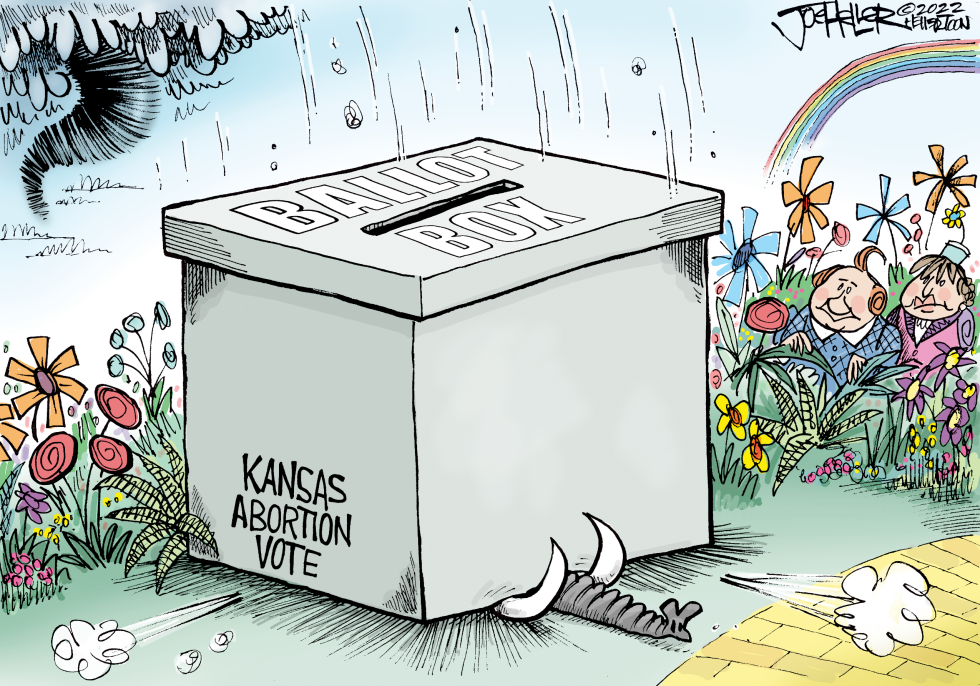 Kansas Abortion Vote