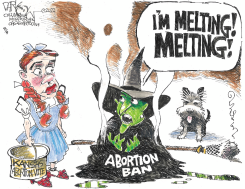 KANSAS ABORTION VOTE by John Darkow
