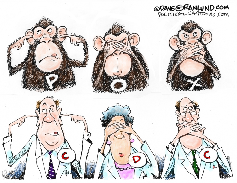 Monkey Pox response