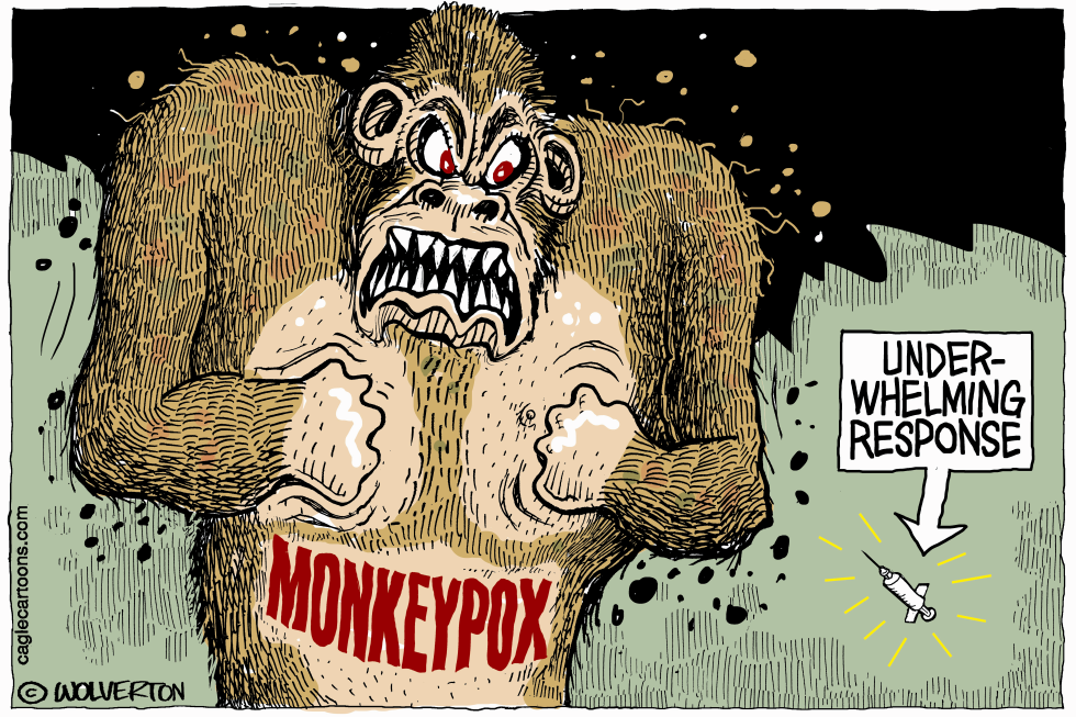 Monkeypox Response