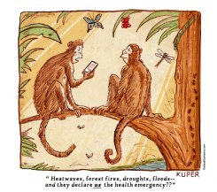 MONKEYPOX DECLARED AN EMERGENCY by Peter Kuper