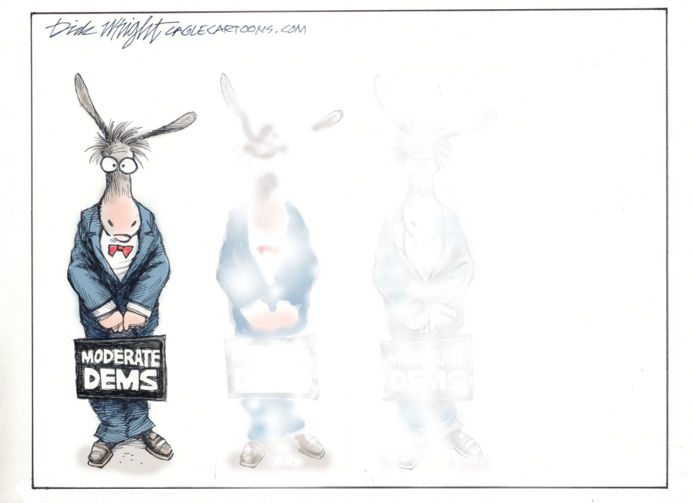 Moderate Democrats Disappearing